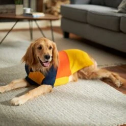 Frisco Colorblock Dog & Cat Turtleneck Sweater With Sleeves -Frisco Sales Store 223819 PT7. AC SS1800 V1599922008