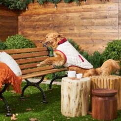 Frisco Quilted Water-Resistant Reversible Insulated Dog & Cat Jacket 15 Frisco Quilted Water-Resistant Reversible Insulated Dog & Cat Jacket -Frisco Sales Store 223922 PT7. AC SS1800 V1601579158