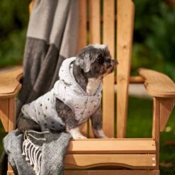 Frisco Mediumweight Silver Polka Dotted Insulated Dog & Cat Coat 15 Frisco Mediumweight Silver Polka Dotted Insulated Dog & Cat Coat -Frisco Sales Store 224017 PT7. AC SS1800 V1601579462