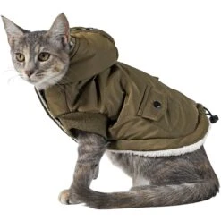Frisco Mid-Heavyweight Love Insulated Dog & Cat Coat -Frisco Sales Store 224034 PT2. AC SS1800 V1599498998