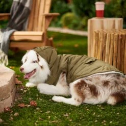 Frisco Mid-Heavyweight Love Insulated Dog & Cat Coat -Frisco Sales Store 224034 PT7. AC SS1800 V1601578266