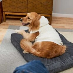 Frisco Plush Fur Dog & Cat Hoodie -Frisco Sales Store 224209 PT7. AC SS1800 V1637685435