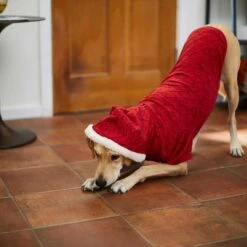 Frisco Textured Knit Dog & Cat Hoodie -Frisco Sales Store 224233 PT6. AC SS1800 V1637729542