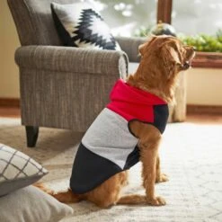 Frisco Colorblock Dog & Cat Sleeveless Hoodie -Frisco Sales Store 224263 PT6. AC SS1800 V1637685778