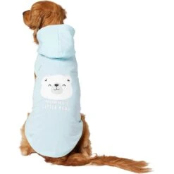 Frisco Mommy's Little Bear Dog & Cat Hoodie 12 Frisco Mommy's Little Bear Dog & Cat Hoodie -Frisco Sales Store 224272 PT2. AC SS1800 V1637691116