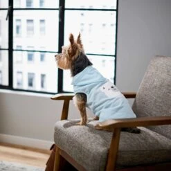 Frisco Mommy's Little Bear Dog & Cat Hoodie 16 Frisco Mommy's Little Bear Dog & Cat Hoodie -Frisco Sales Store 224272 PT6. AC SS1800 V1637715724