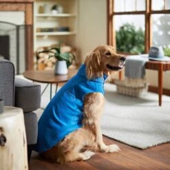 Frisco Ultra Lightweight Basic Dog & Cat Fleece Vest -Frisco Sales Store 224316 PT7. AC SS1800 V1599924439