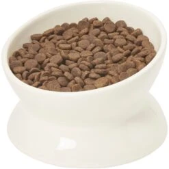 Frisco Double-Sided Ceramic Elevated Cat Bowl 12 Frisco Double-Sided Ceramic Elevated Cat Bowl -Frisco Sales Store 232081 PT6. AC SS1800 V1684760471