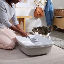 Frisco Micro Crystal Unscented Clumping Crystal Cat Litter -Frisco Sales Store 232119 PT4. AC SS1800 V1660944685