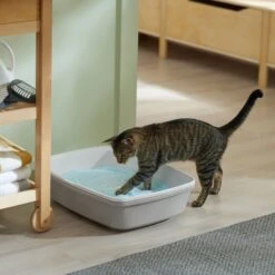 Frisco Micro Crystal Unscented Non-Clumping Crystal Cat Litter -Frisco Sales Store 232121 PT4. AC SS1800 V1659546416