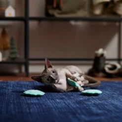 Frisco Snowflake Plush Cat Toy With Catnip, 3 Count -Frisco Sales Store 233285 PT3. AC SS1800 V1661874178