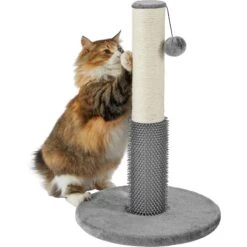 Frisco 21-in Sisal Cat Scratching Post With Toy & Groomer 10 Frisco 21-in Sisal Cat Scratching Post With Toy & Groomer -Frisco Sales Store 236533 PT2. AC SS1800 V1615987395