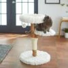 Frisco Natural Wood Modern Cat Tree With Toy, Ivory, Medium 2 Frisco Natural Wood Modern Cat Tree With Toy, Ivory, Medium -Frisco Sales Store 236561 MAIN. AC SS1800 V1616521947