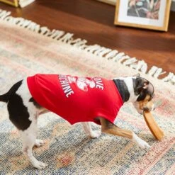 Frisco Love Machine Dog & Cat T-shirt -Frisco Sales Store 238160 PT6. AC SS1800 V1608595661