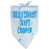 Frisco Birthday Boy Personalized Dog & Cat Bandana 1 Frisco Birthday Boy Personalized Dog & Cat Bandana -Frisco Sales Store 238329 MAIN. AC SS1800 V1597896415