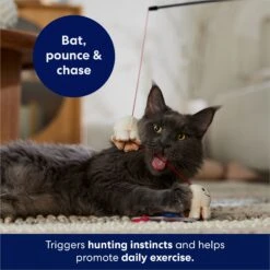 Frisco Zoomies & Chill Popcorn Teaser Wand Cat Toy With Catnip -Frisco Sales Store 241713 PT5. AC SS1800 V1691785246