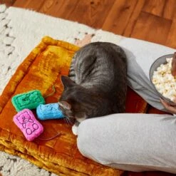 Frisco Zoomies & Chill Gummy Bear Plush Cat Toy With Catnip -Frisco Sales Store 241715 PT6. AC SS1800 V1610768413