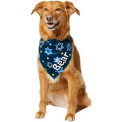 Frisco Hanukkah Personalized Dog & Cat Bandana 16 Frisco Hanukkah Personalized Dog & Cat Bandana -Frisco Sales Store 242799 PT6. AC SS1800 V1618511253