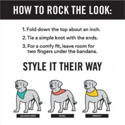 Frisco Blue Snowflakes Personalized Dog & Cat Bandana -Frisco Sales Store 242803 PT2. AC SS1800 V1618510613