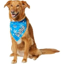 Frisco Blue Snowflakes Personalized Dog & Cat Bandana -Frisco Sales Store 242803 PT6. AC SS1800 V1618511278