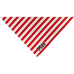 Frisco Peppermint Personalized Dog & Cat Bandana 13 Frisco Peppermint Personalized Dog & Cat Bandana -Frisco Sales Store 242807 PT3. AC SS1800 V1618507377