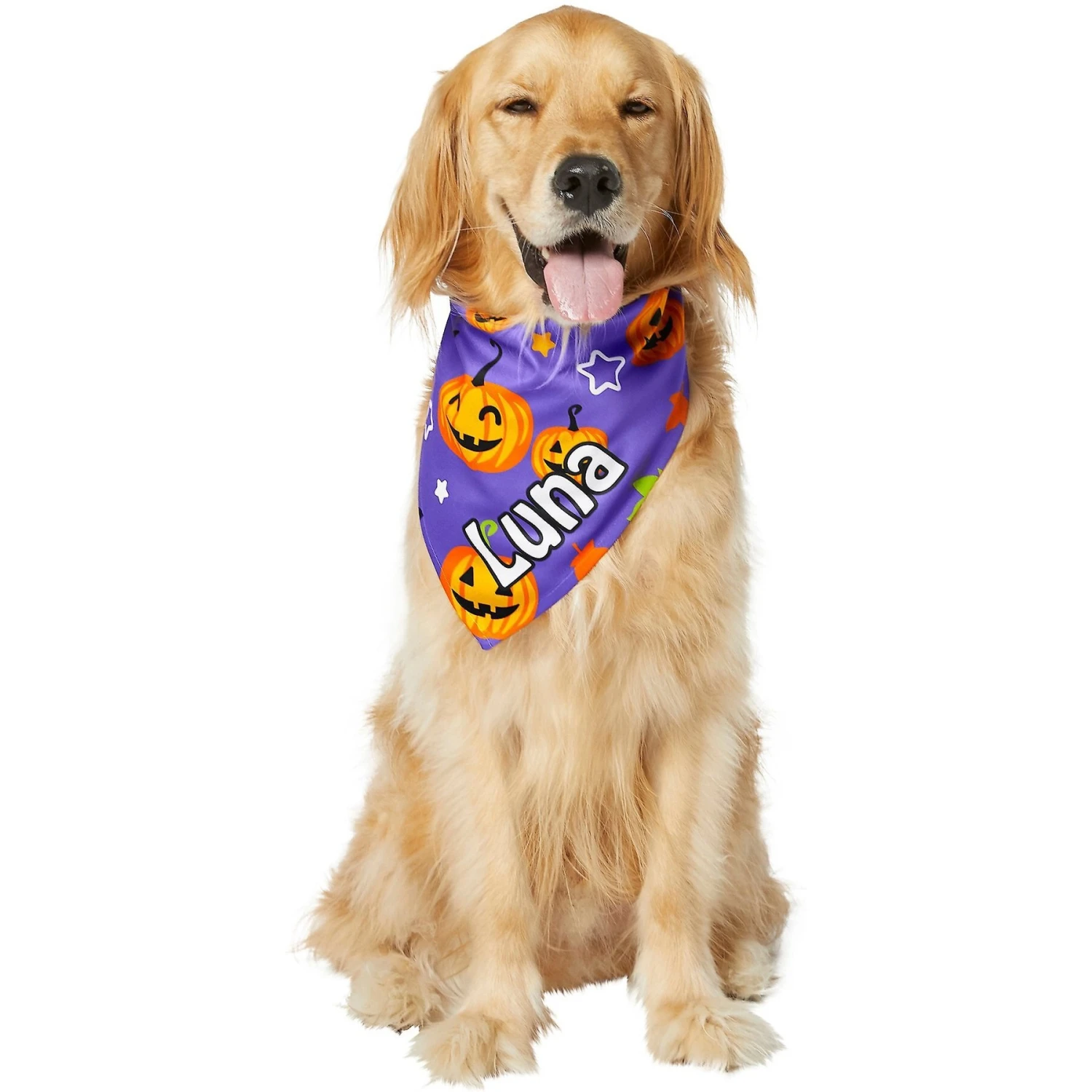 Frisco Halloween Pumpkins Personalized Dog & Cat Bandana 9 Frisco Halloween Pumpkins Personalized Dog & Cat Bandana - Image 7