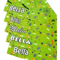 Frisco Halloween Boo! Personalized Dog & Cat Bandana -Frisco Sales Store 244583 PT4. AC SS1800 V1618508254