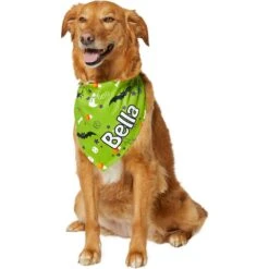 Frisco Halloween Boo! Personalized Dog & Cat Bandana -Frisco Sales Store 244583 PT6. AC SS1800 V1618510307