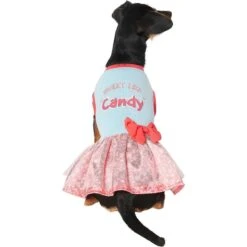 Frisco Sweet Like Candy Dog & Cat Dress -Frisco Sales Store 248666 PT2. AC SS1800 V1632421633