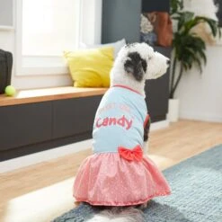 Frisco Sweet Like Candy Dog & Cat Dress -Frisco Sales Store 248666 PT7. AC SS1800 V1614376378