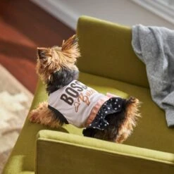 Frisco Boss Babe Dog & Cat Dress 13 Frisco Boss Babe Dog & Cat Dress -Frisco Sales Store 248674 PT7. AC SS1800 V1613666625