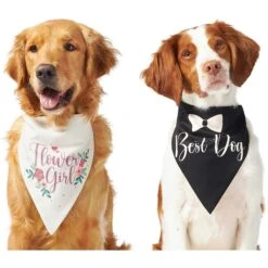 Frisco Wedding Reversible Dog & Cat Bandana 13 Frisco Wedding Reversible Dog & Cat Bandana -Frisco Sales Store 248712 PT2. AC SS1800 V1632429387