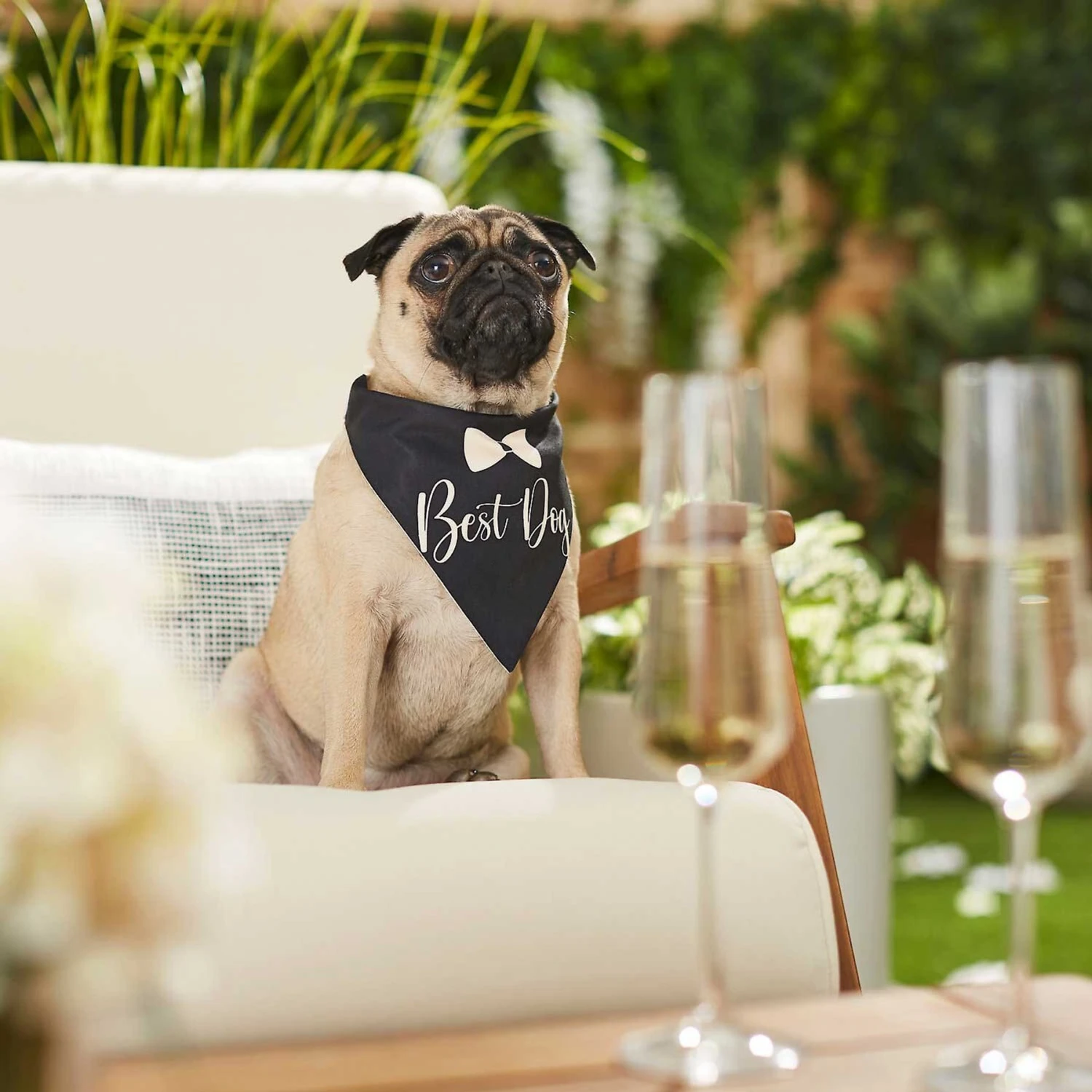 Frisco Wedding Reversible Dog & Cat Bandana 8 Frisco Wedding Reversible Dog & Cat Bandana - Image 6