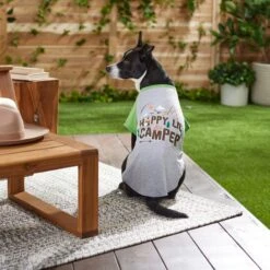 Frisco Happy Lil' Camper Dog & Cat T-Shirt -Frisco Sales Store 248789 PT7. AC SS1800 V1613670226