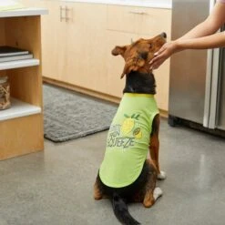 Frisco Mama's Main Squeeze Dog & Cat T-Shirt -Frisco Sales Store 248853 PT7. AC SS1800 V1613683647