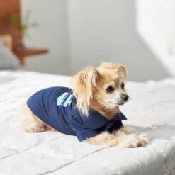 Frisco Dog & Cat Polo Shirt With Accent Pocket 17 Frisco Dog & Cat Polo Shirt With Accent Pocket -Frisco Sales Store 248880 PT7. AC SS1800 V1644960683