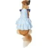 Frisco Blue Daisies Dog & Cat Dress -Frisco Sales Store 249045 MAIN. AC SS1800 V1644449215
