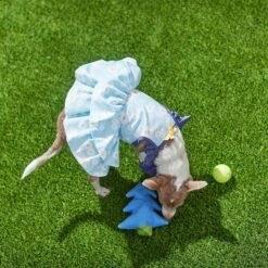 Frisco Blue Daisies Dog & Cat Dress -Frisco Sales Store 249045 PT7. AC SS1800 V1644474172