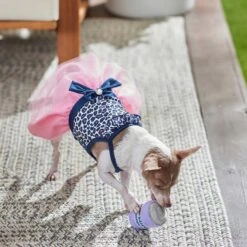 Frisco Leopard Print Dog & Cat Dress -Frisco Sales Store 249051 PT5. AC SS1800 V1644960386