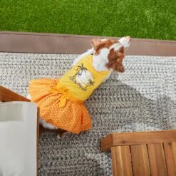 Frisco Fun In The Sun Dog & Cat Dress -Frisco Sales Store 249058 PT7. AC SS1800 V1614094230