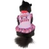 Frisco Cute & Sassy Dog & Cat Dress -Frisco Sales Store 249073 MAIN. AC SS1800 V1644452847