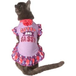 Frisco Cute & Sassy Dog & Cat Dress -Frisco Sales Store 249073 PT2. AC SS1800 V1644959826