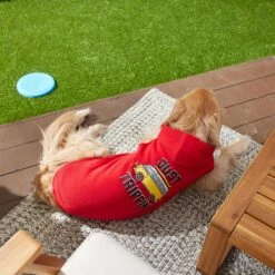 Frisco Just Trippin' Dog & Cat Hoodie -Frisco Sales Store 249086 PT7. AC SS1800 V1614361932