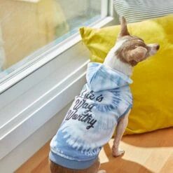 Frisco Life Is Wag Worthy Tiedye Print Dog & Cat Hoodie -Frisco Sales Store 249094 PT7. AC SS1800 V1614362017
