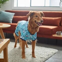 Frisco Happy Shark Dog & Cat Jersey PJs -Frisco Sales Store 249122 PT7. AC SS1800 V1614276183