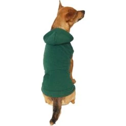 Frisco Dog & Cat Basic Hoodie -Frisco Sales Store 249154 PT2. AC SS1800 V1633073480