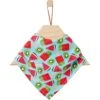 Frisco Fruity Summer Dog & Cat Bandana -Frisco Sales Store 249204 MAIN. AC SS1800 V1637683009
