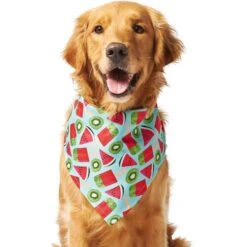 Frisco Fruity Summer Dog & Cat Bandana -Frisco Sales Store 249204 PT2. AC SS1800 V1637644629