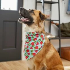 Frisco Fruity Summer Dog & Cat Bandana -Frisco Sales Store 249204 PT4. AC SS1800 V1637668676