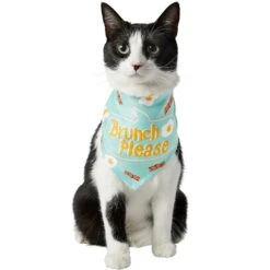 Frisco Brunch Please Dog & Cat Bandana -Frisco Sales Store 249207 PT2. AC SS1800 V1696597732